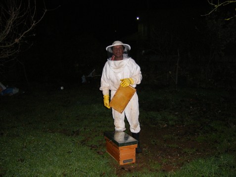Equipo nocturno de apicultor con traje y colmenar de serie
